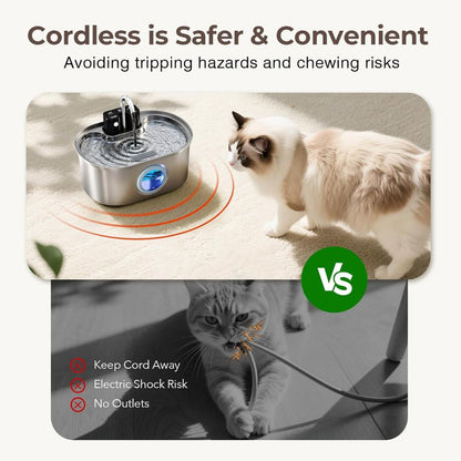 PureBowl™ Pet Water Feeder